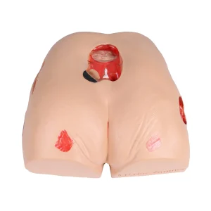 דגם תרגול פצעי לחץ Dekubitus Dan (Erler Zimmer)