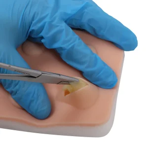 דגם לאימון ציסטות ואבצסים Erler Zimmer (Surgical Training Pad)
