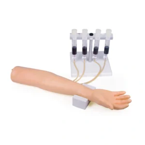 זרוע אימון להזרקות ולקיחת דם Erler-Zimmer IV Training Arm