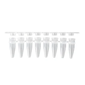מבחנות PCR 0.2 מ״ל עם מכסה שקוף