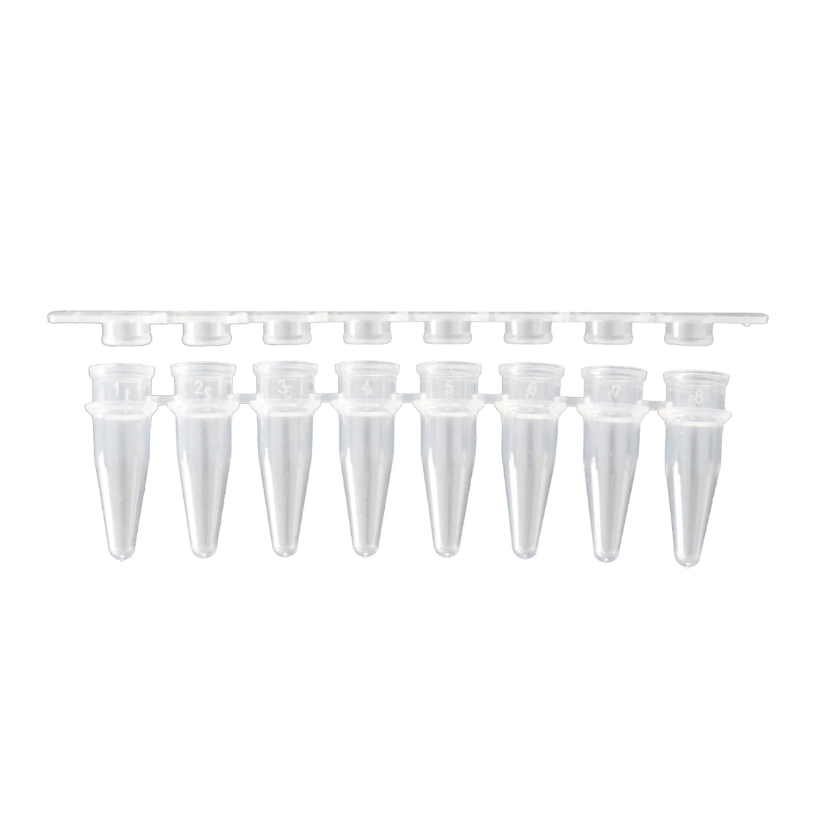 מבחנות PCR 0.2 מ״ל עם מכסה שקוף
