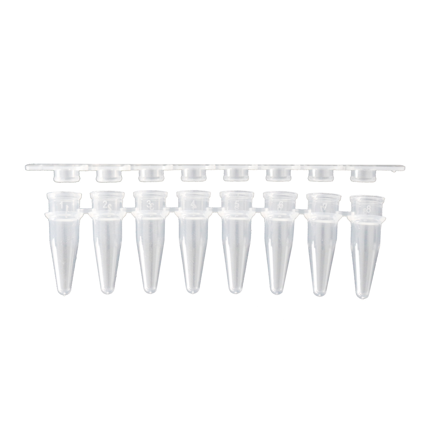 מבחנות PCR 0.2 מ״ל עם מכסה שקוף
