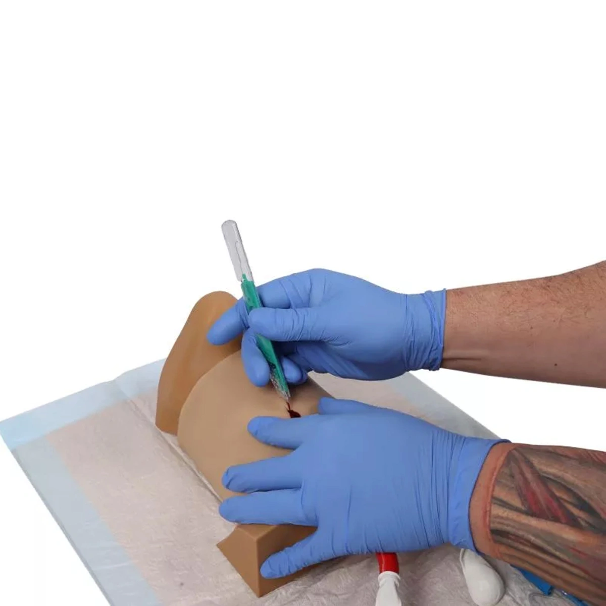 Crico Chris – מודל לתרגול קוניוטומיה (Cricothyrotomy Trainer) - תמונה 2
